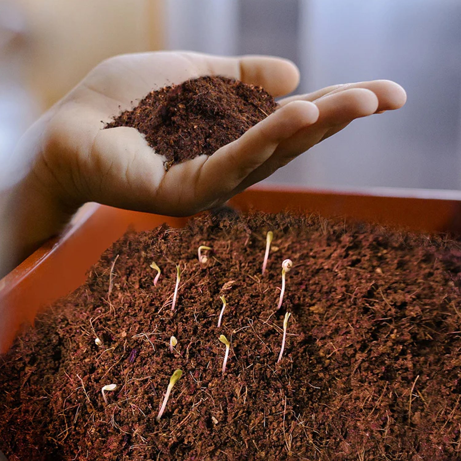 EcoPeat Garden Blend EcoPeat Garden Blend